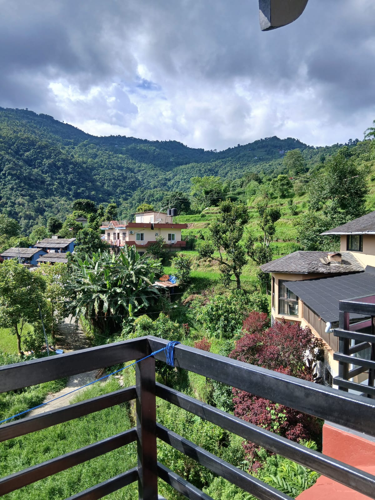 Green Mountain View